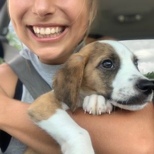 Meet your Posher, Korah